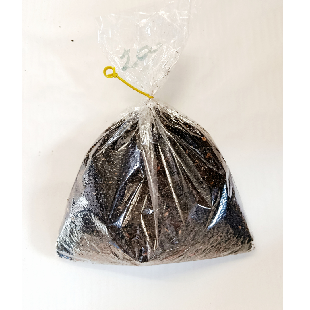 Angelwürmer Dendrobena 50, 100, 200, 500 oder 1000 Stk. – Bild 5