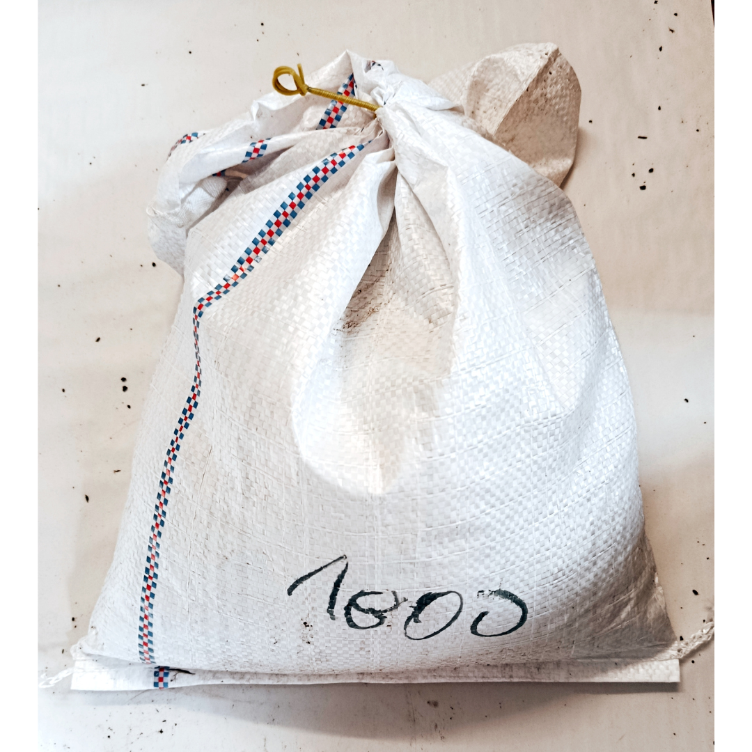 Angelwürmer Dendrobena 50, 100, 200, 500 oder 1000 Stk. – Bild 4